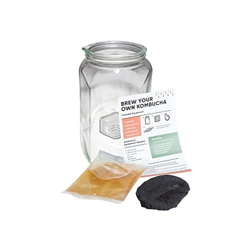 Craft A Brew - Kombucha Basic Starter Kit - For Home Brewing - Includes Fresh Kombucha SCOBY Starter, 1 Gallon Fermenting Jar, Cloth Cover, Brewing Guide