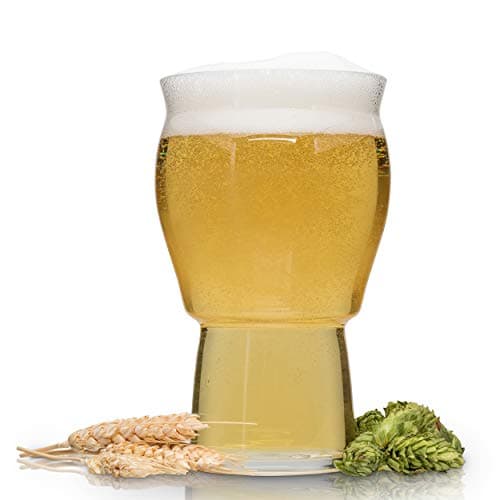 Brewing America Muffin Top Nucleated Beer Glasses - Pint Glass - Cider, Soda, Craft Beer Gifts (Clear) (Single)